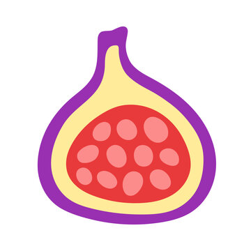 purple fig fruit cutaway simple design clip art preview