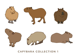 Capybara Color Illustrations 1	