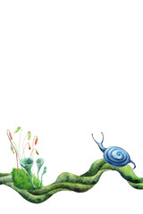 Forest plants banner. Botanical greenery with snails, with green and blue shades. Hand drawn watercolors isolated on transparent background. Biophilic style, ideal for ecological and spiritual topics