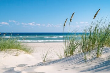 Sandy beach with ocean view and tall grasses