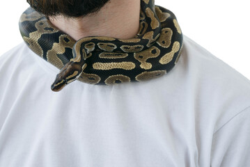 A man with a snake around his neck. White background. Snake around a man's neck.