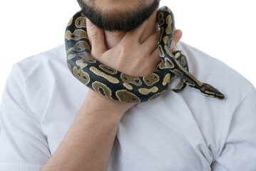 A man with a snake around his neck. White background. Snake around a man's neck.