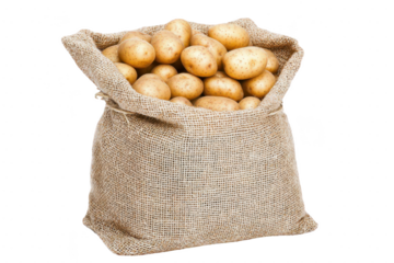 burlap sack filled with fresh potatoes, showcasing their earthy texture and natural color, perfect for cooking or farming. rustic bag adds traditional touch