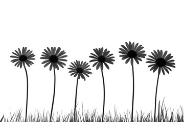 Obraz premium row of silhouetted daisies stands tall against plain background, creating simple yet striking floral design. black and white contrast highlights delicate petals and slender stems