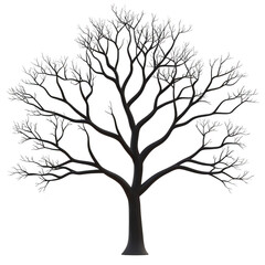 Fototapeta premium detailed silhouette of leafless tree with intricate branches, evoking sense of calm and simplicity. tree stands alone, showcasing its natural beauty against plain background
