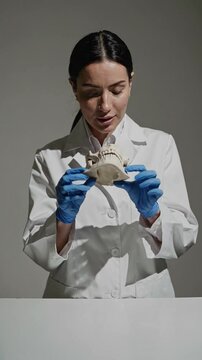 Dentist showing gypsum human jaw. Dental cast. 