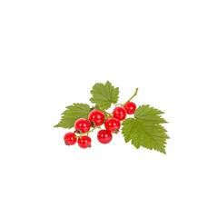 cluster of vibrant red currants with lush green leaves, showcasing their glossy texture and fresh appearance. berries are small, round, and arranged in natural, appealing manner