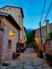 Fototapeta premium alghe