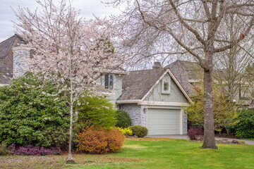 Fototapeta premium Two story stucco luxury house with nice spring blossom landscape in Vancouver, Canada, North America. Day time on April 2025.