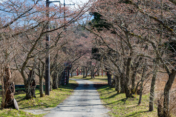 日本の岡山県真庭市の茅部神社の美しい春の風景