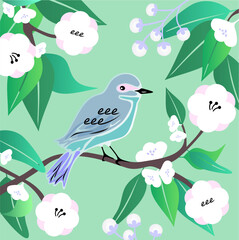 Blue bird on branch