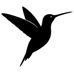 hummingbird bird silhouette vector isolated on white background