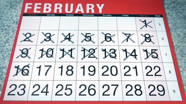 Calendar Is Marked Off All Months Looping Shot
