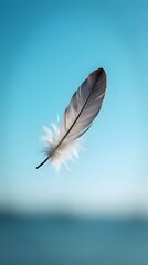 Single white feather in soft focus against a blurred blue sky background, symbolising freedom, lightness, purity, and gentle movement. Ideal for spiritual themes or tranquil nature scenes.