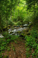 Hiker Uses A Rock For Balance Across Noland Creek in Great Smoky Mountains