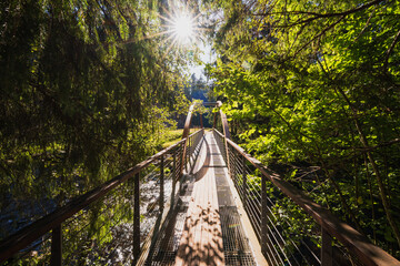 Fototapeta premium Footbridge with wooden decking crosses the river through a sunny green forest during summer.