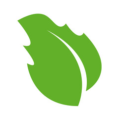 Green leaf vector icon represents nature and eco design
