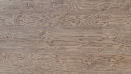 Natural oak wood texture with knots