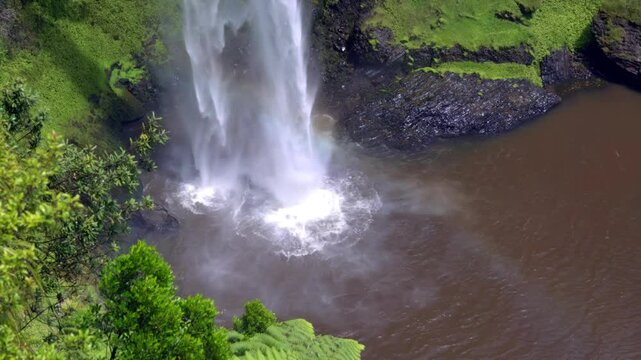 Close-Up of Bridal Veil Falls &ndash; Powerful Waterfall in Lush New Zealand Forest