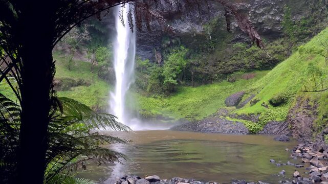 Close-Up of Bridal Veil Falls &ndash; Powerful Waterfall in Lush New Zealand Forest