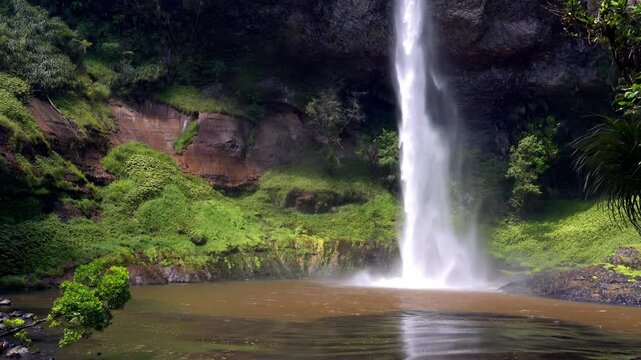 Close-Up of Bridal Veil Falls &ndash; Powerful Waterfall in Lush New Zealand Forest