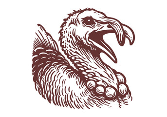 Turkey Bird hand drawn sketch illustration vector
