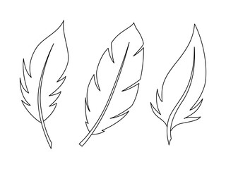 Linear vector feathers collection. Isolated simple quill silhouette on white