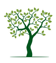 Obraz premium Shape of green Tree with Leaves and Roots. Vector outline Illustration.