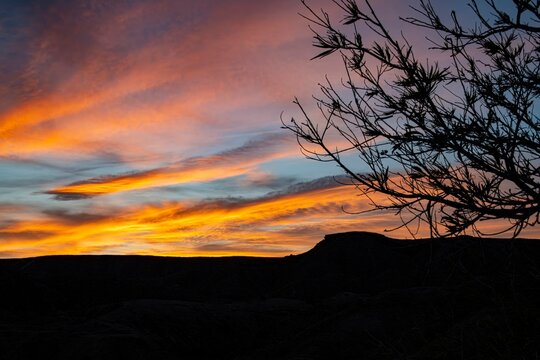 Mesquite yellow sunset