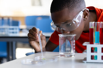 In school, boy conducting science experiment with beaker and petri dish