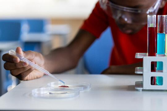 In school, student using pipette with petri dish and test tubes in science class, copy space