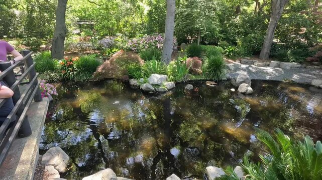 footage of a gorgeous spring landscape with a pond, lush green trees and flowers at Descanso Gardens La Ca&ntilde;ada Flintridge California USA