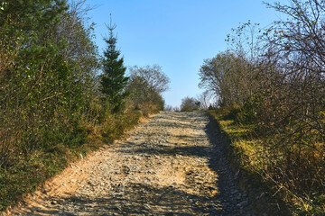 Hiking travel.Dirt country road in colored sunny