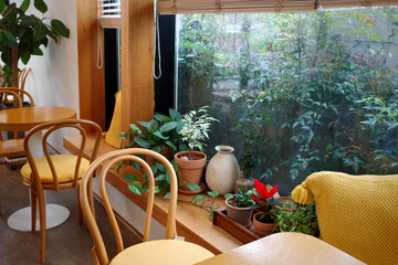 cafe chair interior plant decoration house home