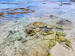 Low sea water on a rocky shore