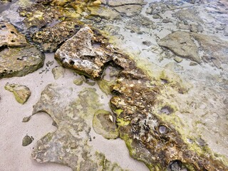 Close up of a rocky shore with clear shallow water.