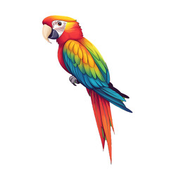Fototapeta premium macaw parrot with colorful feathers, transparent background, bold outline