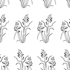 Seamless pattern with detailed realistic vector black and white illustration of oat plant. Hand drawn picture of wheat ears in engraved vintage style. Sketch of agricultural plant.