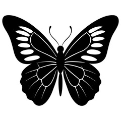 butterfly silhouette vector isolated on white background