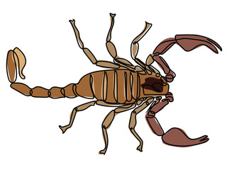 Scorpion in continuous line drawing on white background.
