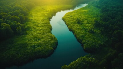 Obraz premium Emerald river meanders through lush green landscape under radiant sunlight