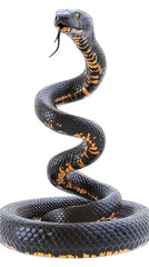 Obraz premium Realistic 3D Illustration of a Black Snake Coiled Isolated Transparent Background