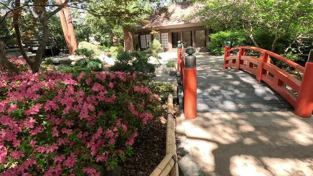 footage of an arched orange bridge over a river, lush green trees and flowers at Descanso Gardens La Ca&ntilde;ada Flintridge California USA