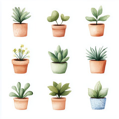 Fototapeta premium set minimal plant in pots