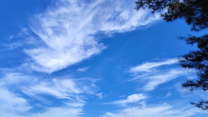 Bright Blue Sky with Soft White Clouds Floating Peacefully Over the Horizon