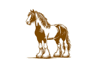 Clydesdale horse hand drawn sketch illustration vector