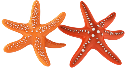 Two Colorful Starfish Illustration On Transparent Background