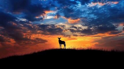 Silhouette of a wildebeest standing on the horizon against a dramatic African sunset sky. A powerful wildlife moment capturing the beauty and solitude of the savannah