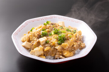 鶏ひき肉と豆腐のあんかけ丼