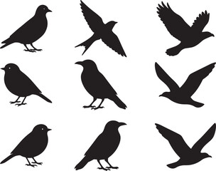 Set of black bird silhouettes. Vector elements for design.